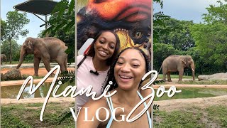 Did It Make The Cuts Miami Zoo Vlog with My Giveaway Winner!