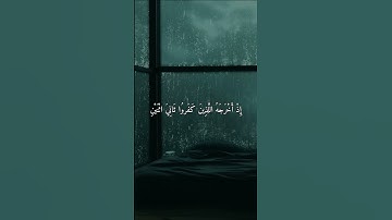 اذ يقول لصاحبه لا تحزن ان الله معنا | حالات واتساب دينيه | القارئ عبدالرحمن مسعد