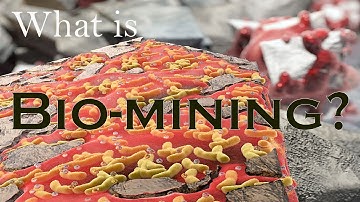 What is Biomining? The future of mining