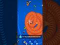 #wormszone #games #gaming #sortvaralvideo #shortsfeed #gameplay #wormszone #sortvaralvideo