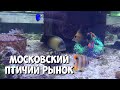 Московский птичий рынок | Цены