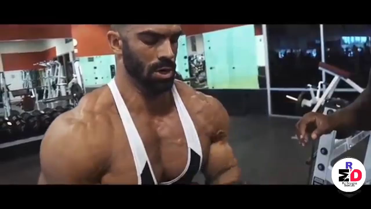 Gym Lovers Whatsapp Status Video Motivational Whatsapp Status For Gym Lovers Workout Gym Lovers Whatsapp Status Video Motivational Whatsapp Status For Gym Lovers Workout