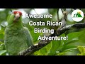 The Birds of Costa Rica: Adorable Parrots, Incredible Falcons, and Massive Vultures!