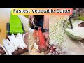 Viral product on internet  fastest multifunctional vegetable cutter make cooking easy for home