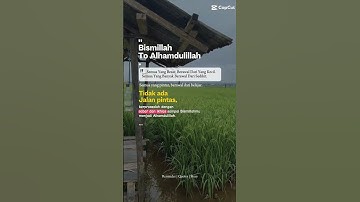 The peaceful morning scene in the rice fields #pagihari#sawah#katahatimotivasi #shorts#fyp
