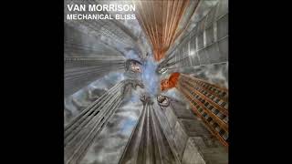 Watch Van Morrison Not Working For You video
