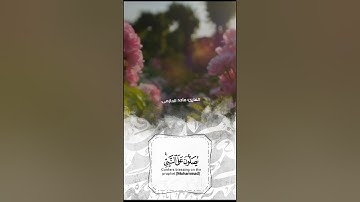 ( إن الله وملائكته يصلون على النبي ) القارئ ماجد الحازمي #محراب_القراء_