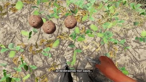 TOO MUCH COCONUT - Stranded Deep part 5