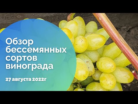 Видео: Каковы характеристики бессемянных сосудистых растений?