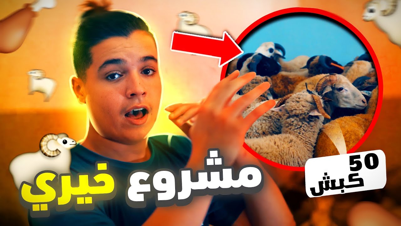مشروع خيري😇وزعت 50 كبش🐏على الفقراء والمساكين🥰اللهم جعلها🤲في ميزان⚖الحسنات❤