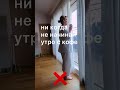 Каждое утро стакан теплой воды #skincare