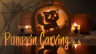 MEOWLOWEEN Pumpkin carving CAT STYLE | Halloween 2020 | Ragdolls Pixie and Bluebell