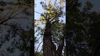 I trust youtube algorithm #youtubeshorts #motivation #travel #nature