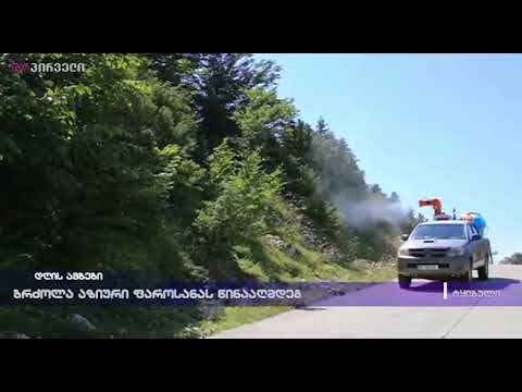 ბრძოლა აზიური ფაროსანას წინააღმდეგ