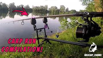 CARP RUN COMPILATION  - The best of 2021! PART 11!