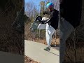 skateboarding is fun #skateboarding #skateboardvibes
