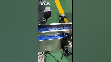 Automatic 30ml vape juice filling capping machine #30ml #vapejuice #fillingmachine #chubbygorilla