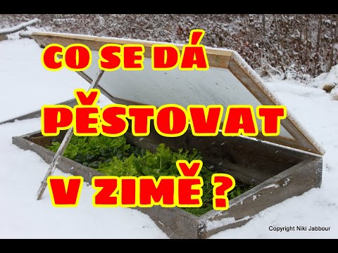 Video: Ako Pestovať Zeleninu V Zime