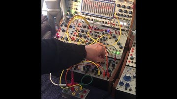 Buchla Function Generator Mult