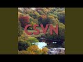 CSVN