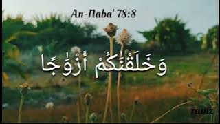 Quran An-Naba' 78:8 || Quran status video