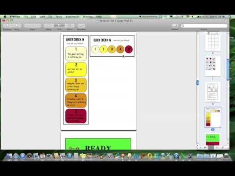 Ultimate Behavior Management Visuals Set Two Product Preview