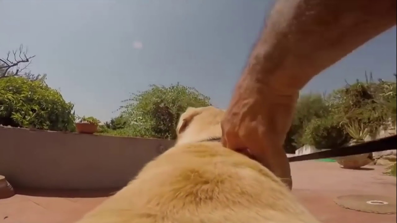 Alegro & Azax - Freak At Night (Origianl Mix)