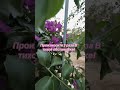 Шепоток для перемен и защиты 🍃