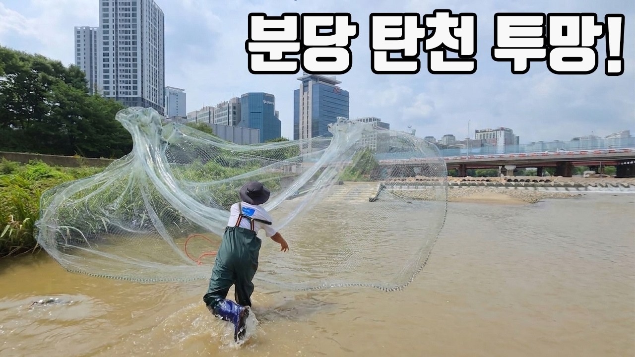 성남시 분당구를 가로지르는 대표하천 탄천에서 투망을 하면 어떤 물고기가 잡힐까?