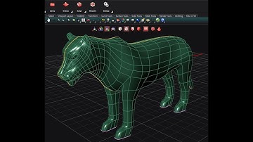 Full Tutorial Lion 3D Modeling in MatrixGold/Clayoo