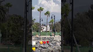 Download Mp3 Vamos pa la playa #musica Gudang lagu Download Mp3 Vamos pa la playa #musica