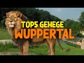 Die 5 besten Gehege im Zoo Wuppertal