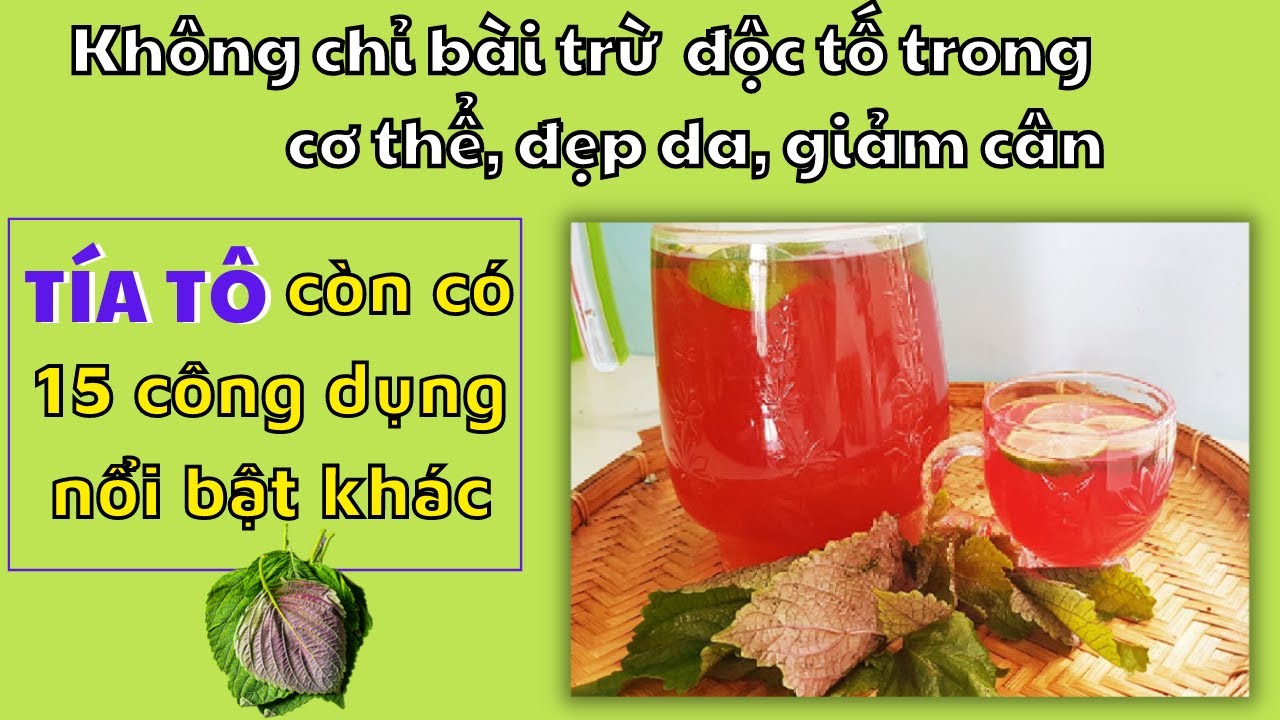 Hướng dẫn Cách nấu nước lá tía tô – Cách nấu nước lá tía tô mang lại lợi ích thải độc, đẹp da, giảm cân,.. | Thiên Lý