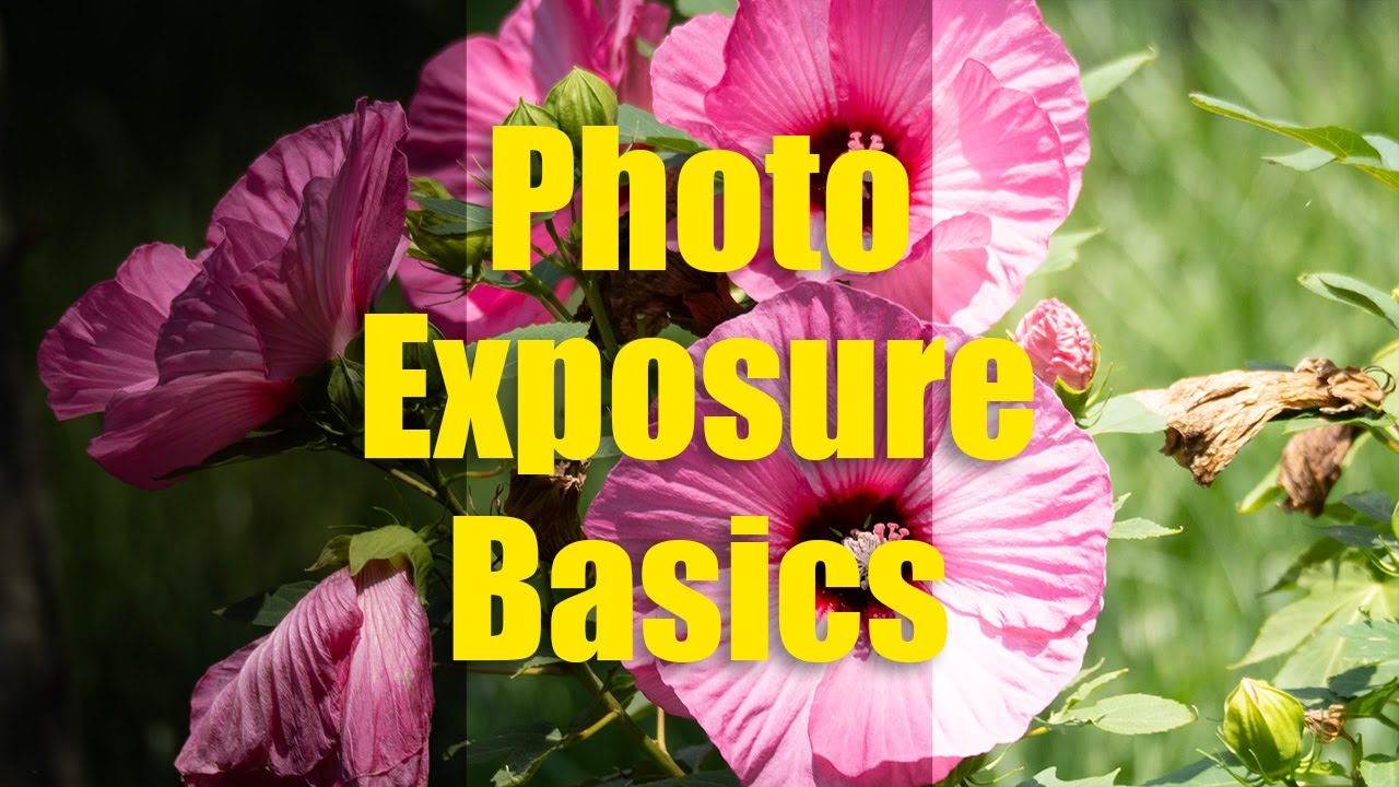Photo Basics: Exposure - YouTube