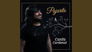 Video thumbnail of "Pajarito - Gallo Flaco"