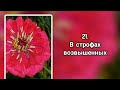 Гимны надежды 21 В строфах возвышенных (-)