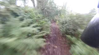 Otterton - Passaford Lane (ORPA, W-E & E-W)