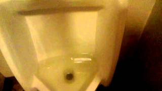 Celebrity Clogged American Standard Washbrook At Work Profile