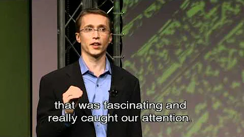 tom rath - We learn best on our strength