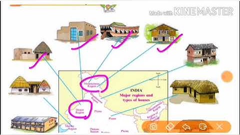 std 5/ EVs 1/ chapter 11