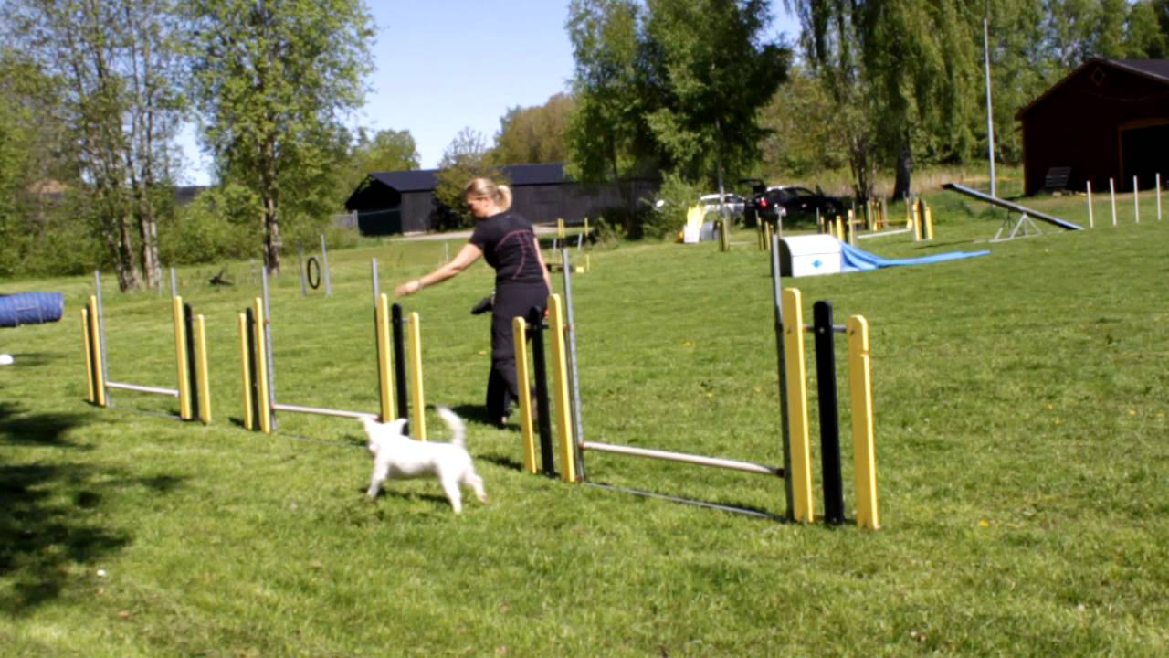 Grundträning staket - YouTube