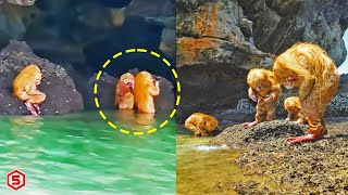 Makhluk Setengah Manusia Setengah Monyet Terekam Lakukan Ritual dengan suara aneh di Goa Thailand