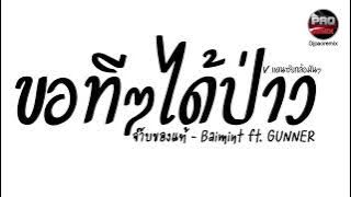 #มาแรงในTikTok ขอทีขอทีได้ป่าว ( จ๊าบของแท้ - Baimint ft. GUNNER ) V.แดนซ์ยกล้อมันๆ Pao Remix