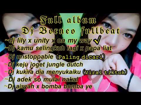 KUMPULAN FULLBEAT DJ BORNEO VIRAL TIKTOK TERBARU (FULL ALBUM DJ BORNEO | rizal zx)