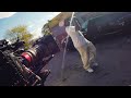 &quot;Told Me&quot; - Co Cash ft Lil Yatchy - Steadicam