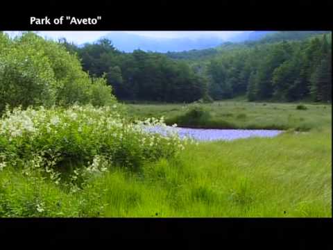 Liguria, Aveto Regional Natural Park