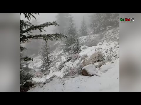 Premières Chutes De Neige à Tizi Ouzou Le 21 Novembre 2025