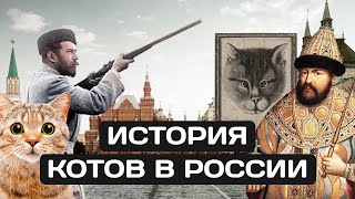 История Кошек. Как Жилось Котам В России.