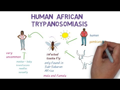 Sleeping Sickness - an introduction to African Trypanosomiasis