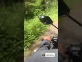 Lembur kuring || Perbatasan Majalengka Ciamis #kebun #pinus #liangangin #Shorts